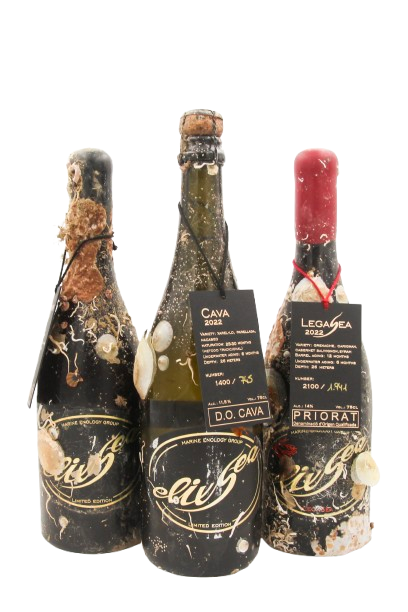 Tasting pack - 3 bottles