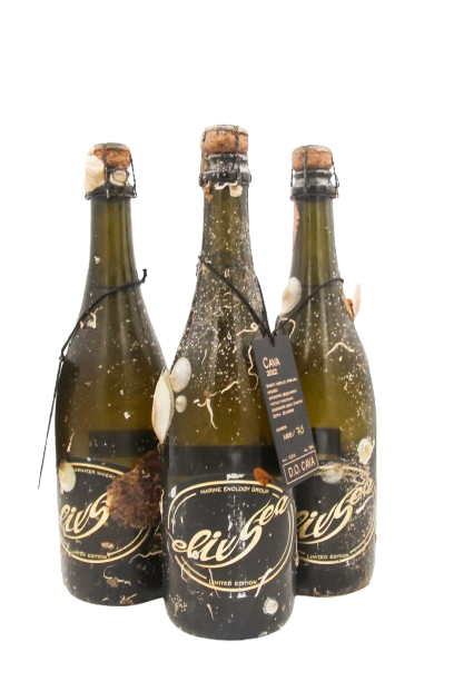 1/2 case: Cava Brut Nature Reserva (dry-sparkling) - 3 bottle pack